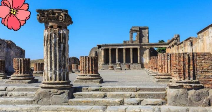 Bed and Breakfast Pompei House Scafati Exterior foto